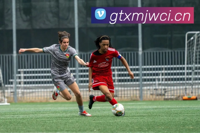 星空体育中国官方网站服务体系